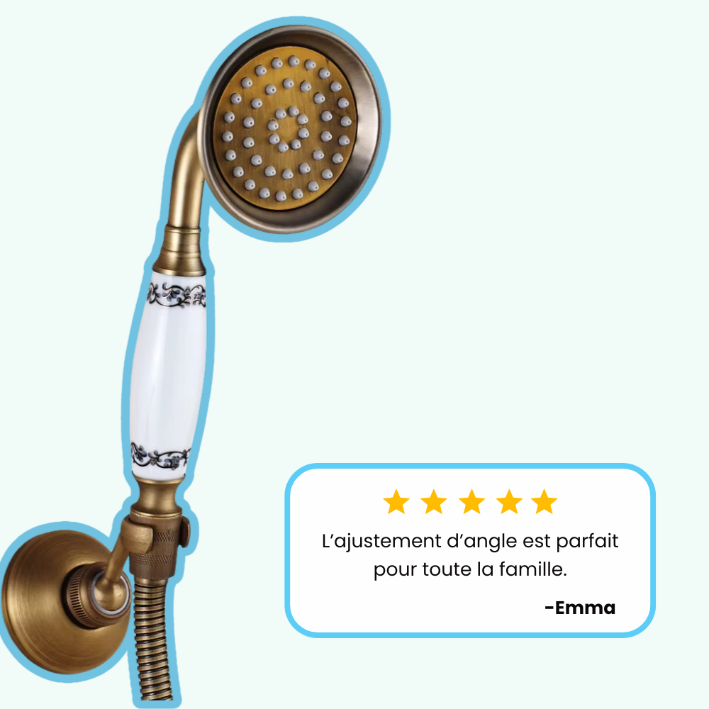 Pommeau de Douche Rétro Laiton Brossé Ligne Simple et Chaleureuse – Pluvia