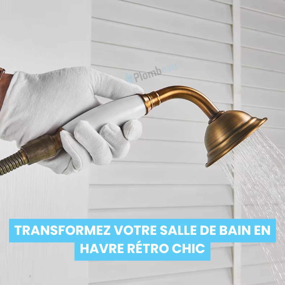 Pommeau de Douche Rétro Laiton Brossé Ligne Simple et Chaleureuse – Pluvia
