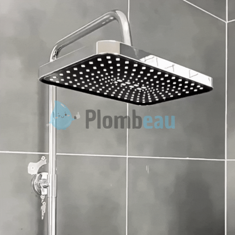Pommeau de Douche Haute Pression Premium Finition Élégante – Pluvia