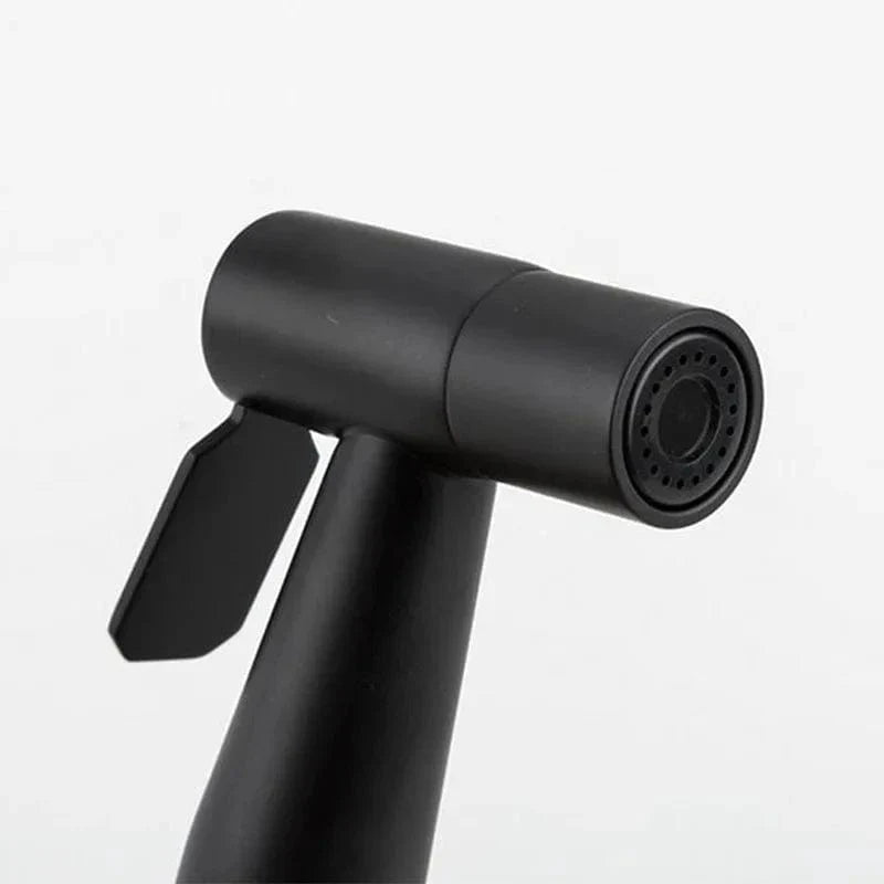 Douchette WC Noire Bidet Intégré Design et Hygiène – Purelia