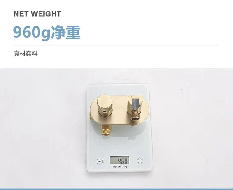 Douchette WC Bidet Finition Satinée Hygiène Inégalée – Purelia