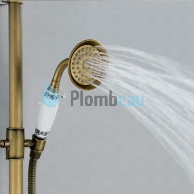 Pommeau de Douche Rétro Laiton Brossé Décor Travaillé – Pluvia