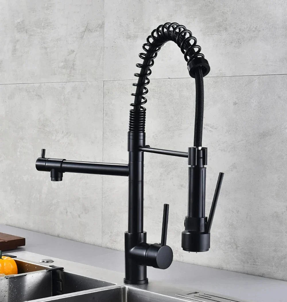 Mitigeur Cuisine Professionnel avec Douchette Performance Cuisine Moderne – Fornéa
