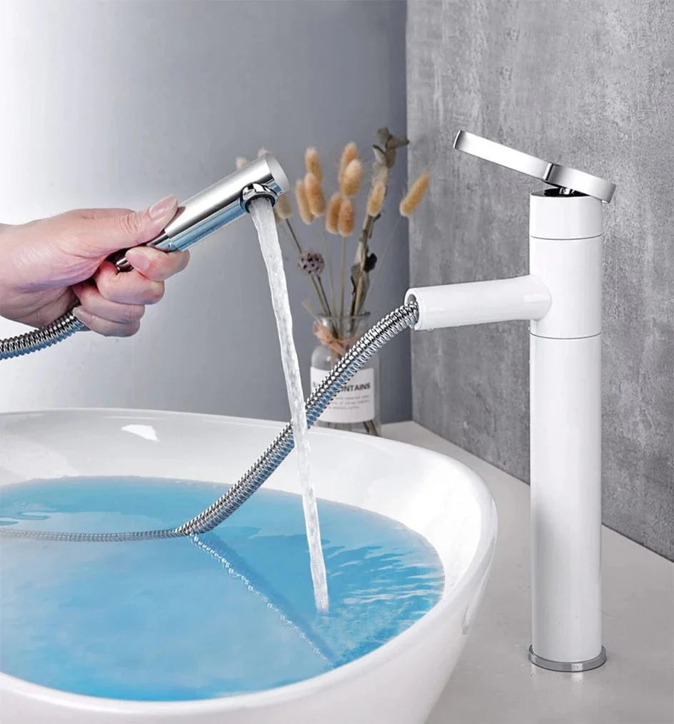 Mitigeur Lavabo avec Douchette Polyvalence au Quotidien – Solvane