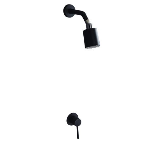 Pommeau de Douche Économique Design Élégant Débit Optimisé – Pluvia