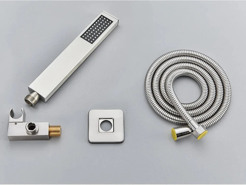 Pommeau et Flexible de Douche Ensemble Assorti Prêt à Poser – Pluvia