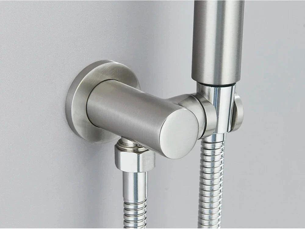Pommeau et Flexible de Douche Ensemble Assorti Prêt à Poser – Pluvia