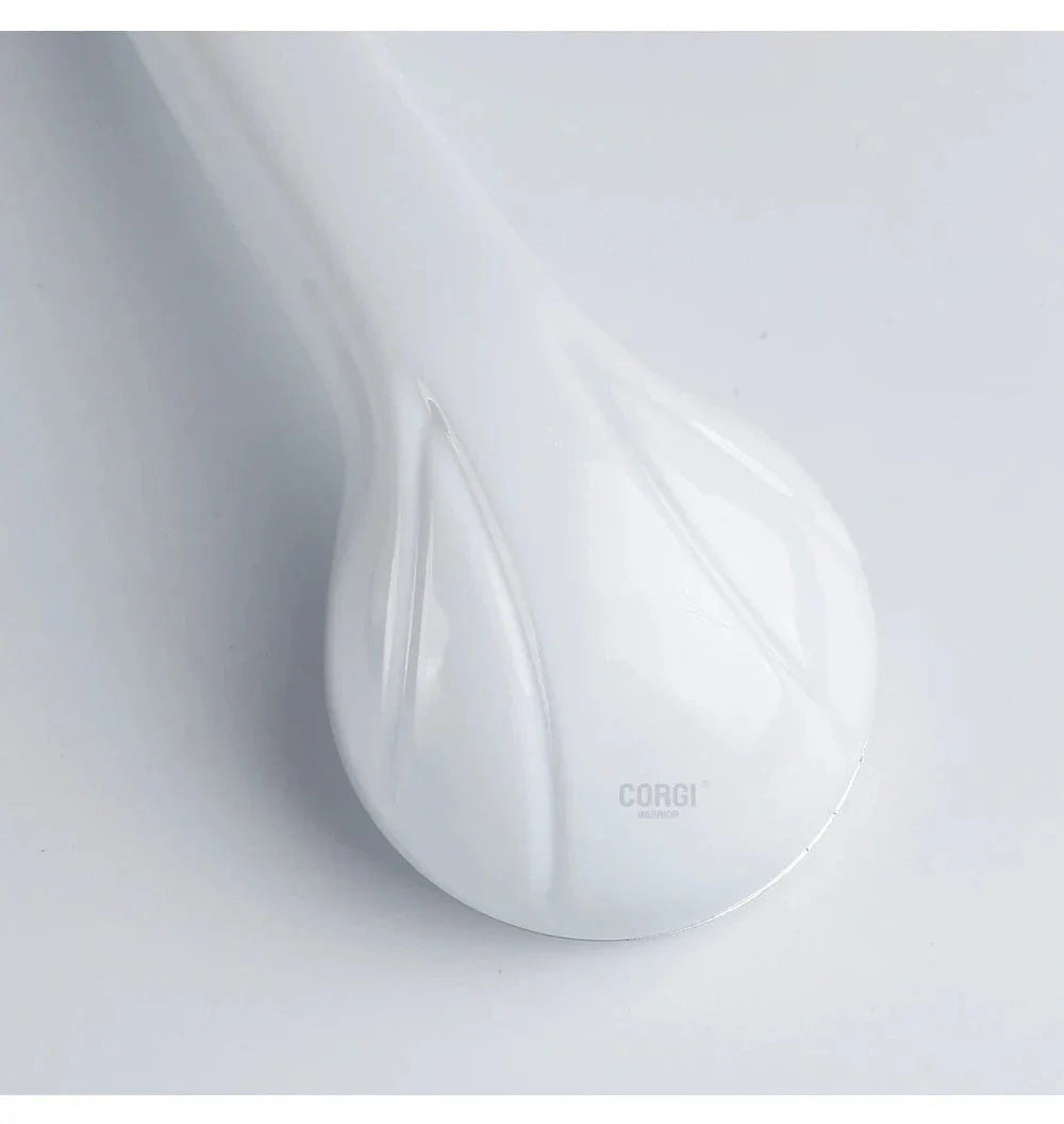 Pommeau de Douche Haute Pression avec Tuyau Kit Complet – Pluvia