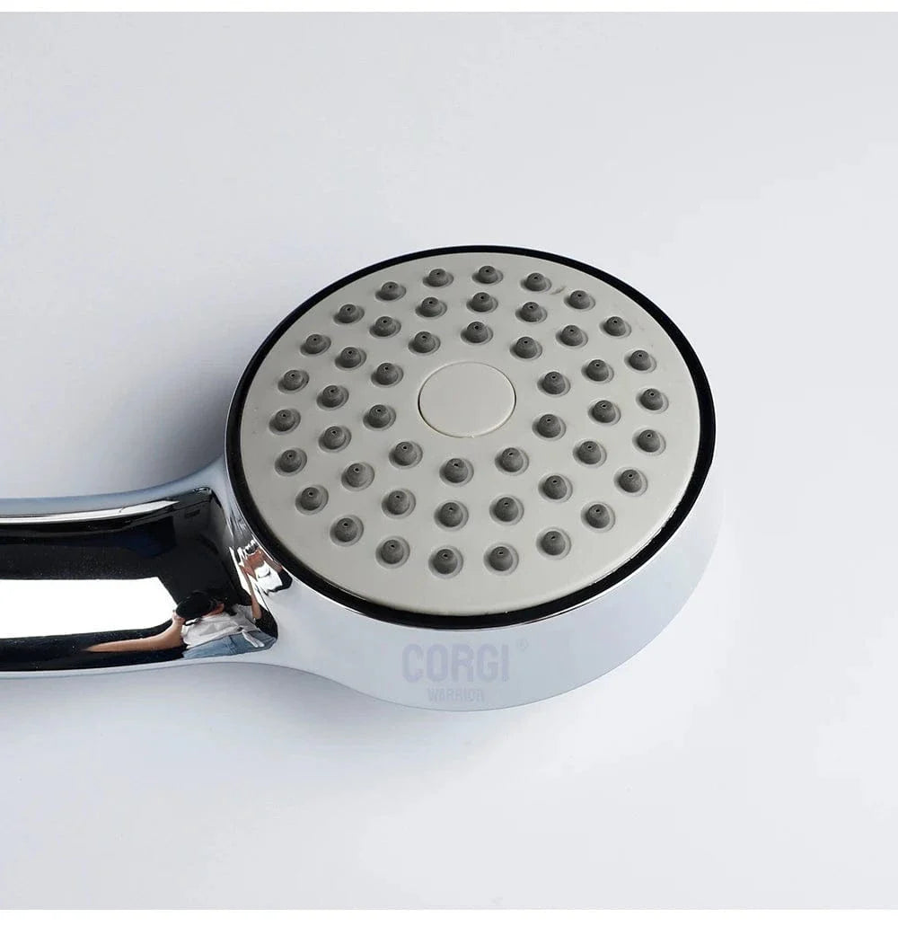 Pommeau de Douche Haute Pression avec Tuyau Kit Complet – Pluvia