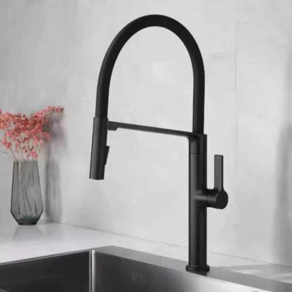 Robinet Cuisine Mitigeur avec Douchette Deux Jets Pratiques – Cuvéa