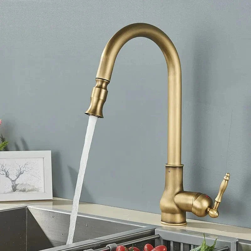 Robinet Cuisine Vintage Douchette Laiton Ancien Style Rétro Premium – Cuvéa