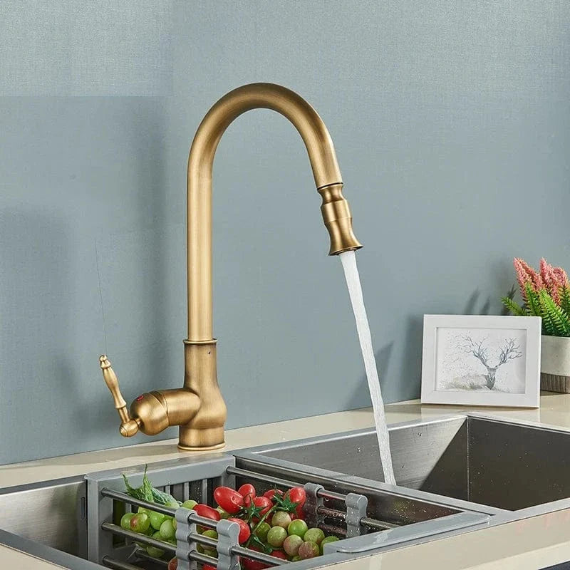 Robinet Cuisine Vintage Douchette Laiton Massif Cachet Durable – Cuvéa