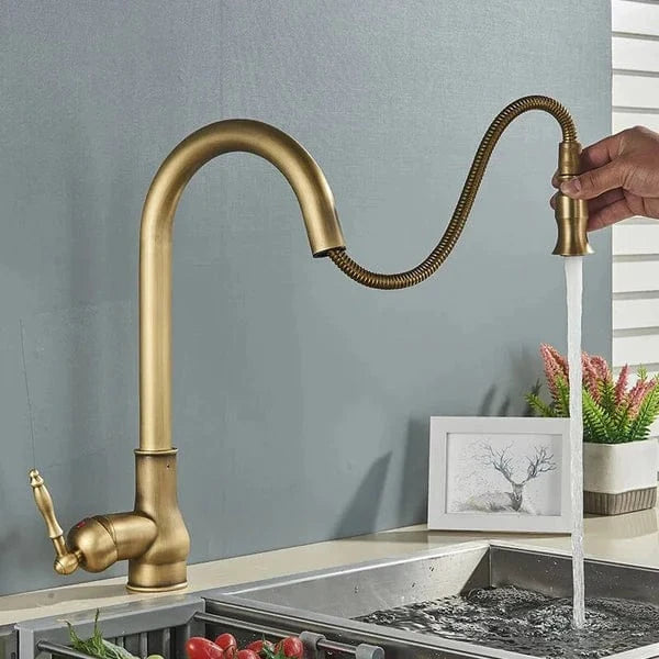 Robinet Cuisine Vintage Douchette Laiton Massif Cachet Durable – Cuvéa