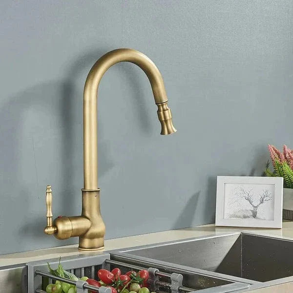 Robinet Cuisine Vintage Douchette Laiton Massif Cachet Durable – Cuvéa