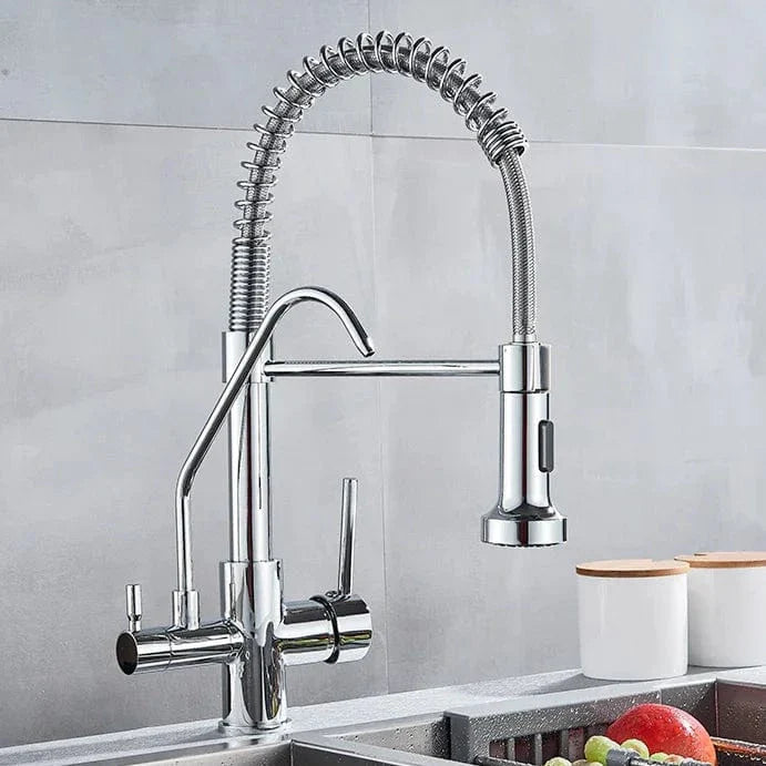 Robinet Cuisine Professionnel Filtre Purificateur et Double Jet – Fornéa