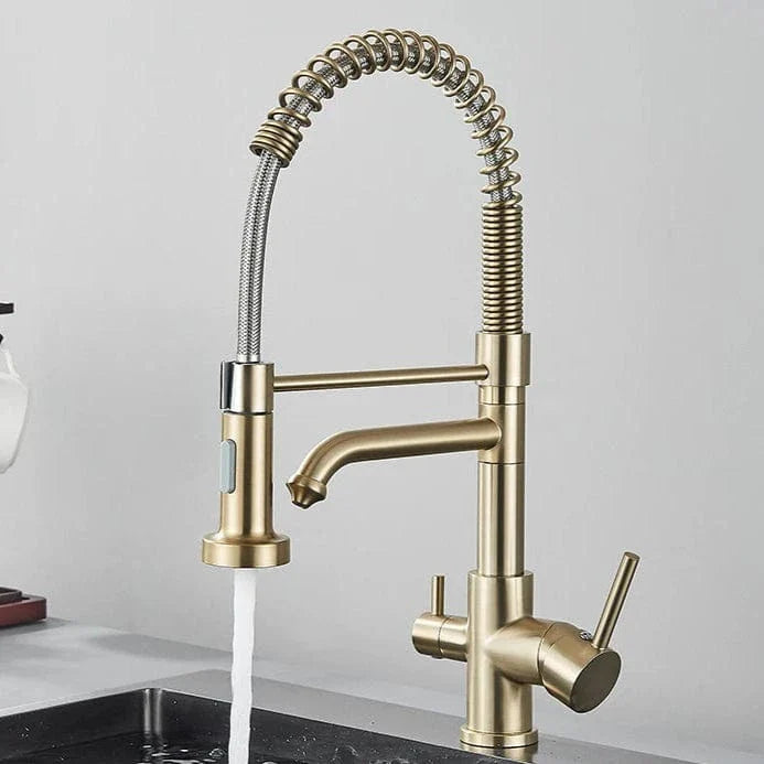 Robinet Cuisine Professionnel Filtre Purificateur et Double Jet – Fornéa
