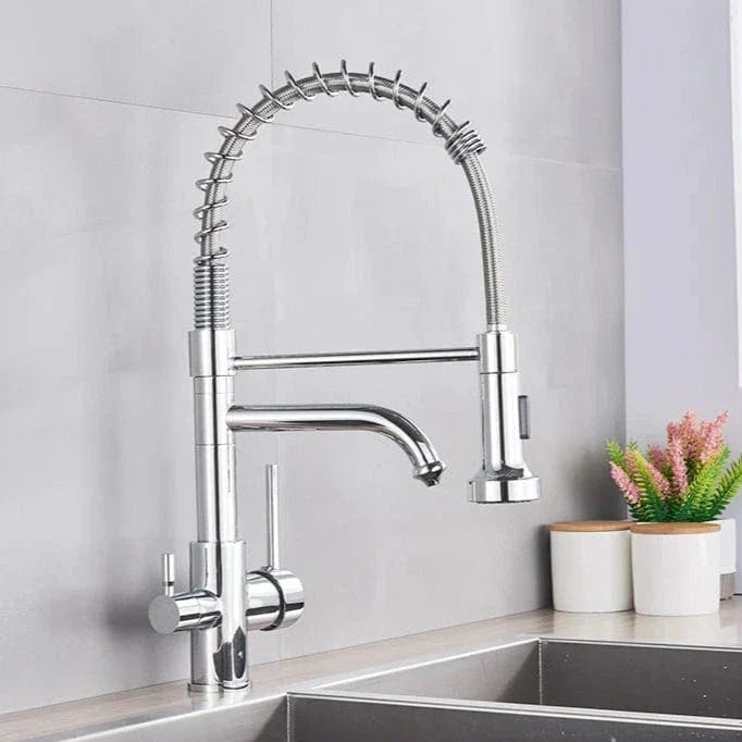 Robinet Cuisine Professionnel Filtre Purificateur et Double Jet – Fornéa