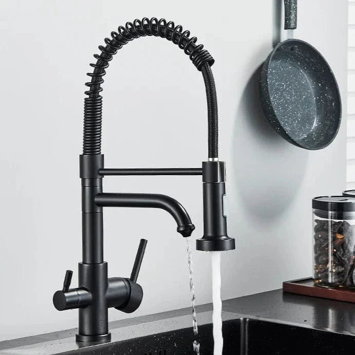 Robinet Cuisine Professionnel Filtre Purificateur et Double Jet – Fornéa