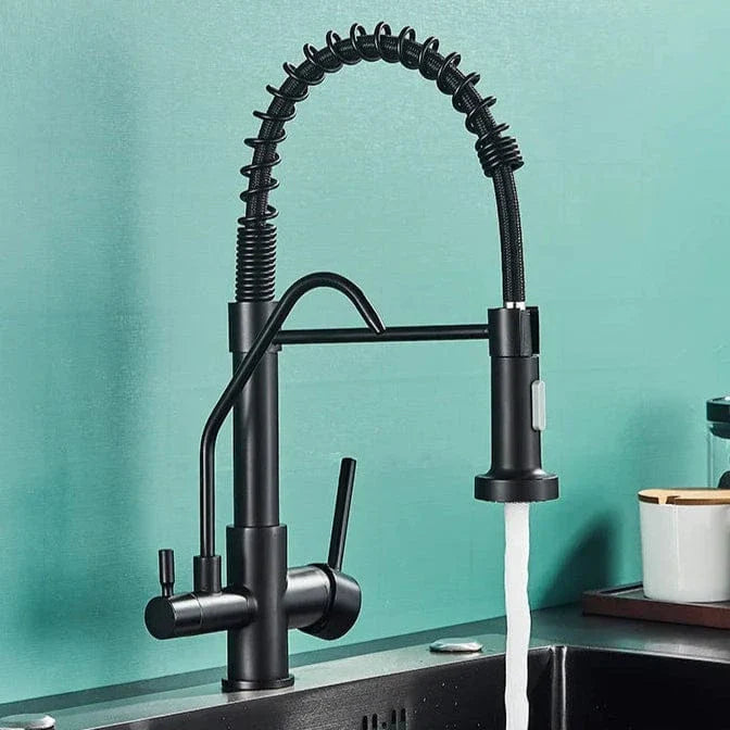 Robinet Cuisine Professionnel Filtre Purificateur et Double Jet – Fornéa