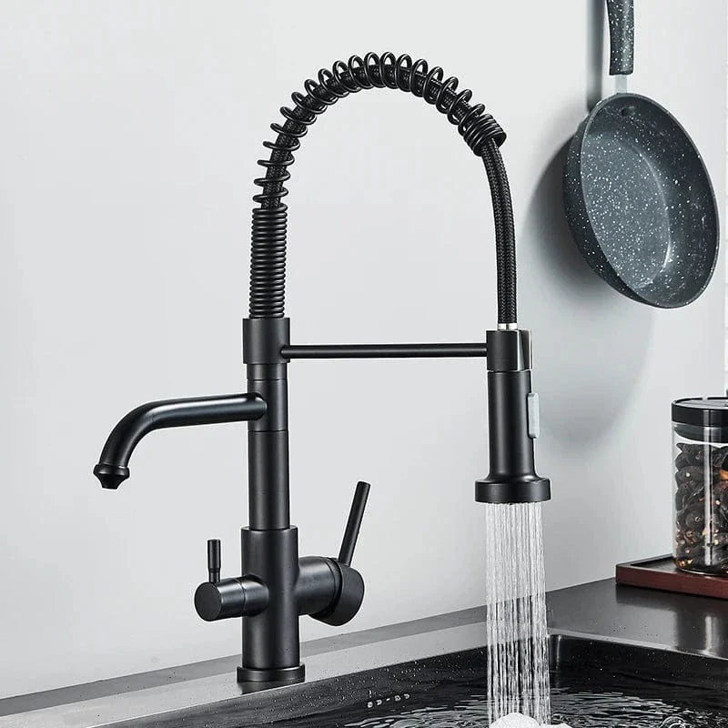 Robinet Cuisine Professionnel Filtre Purificateur et Double Jet – Fornéa