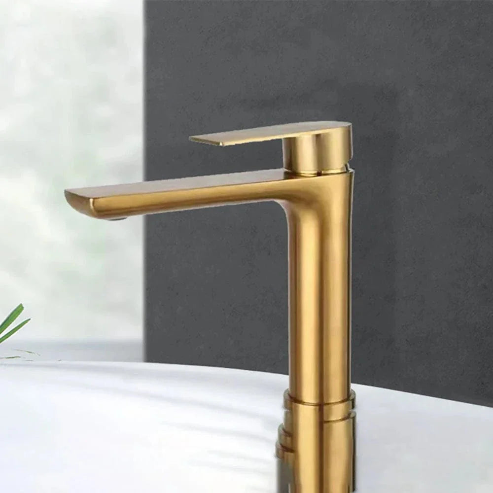 Robinet Lavabo Inox Gris Moderne Résiste à la Corrosion – Solvane