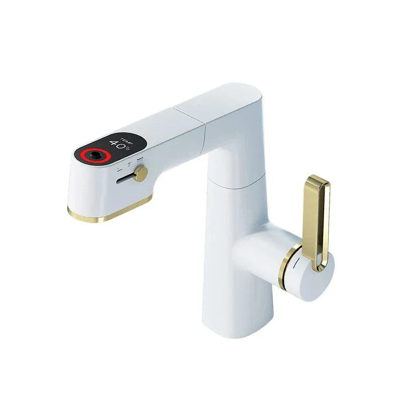Mitigeur Lavabo avec Douchette Polyvalence et Élégance – Solvane
