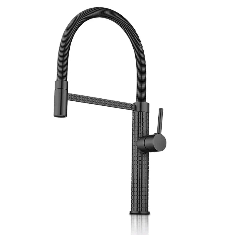Robinet Mitigeur Cuisine Motif Sculpté Noir Élégance Travaillée – Cuvéa