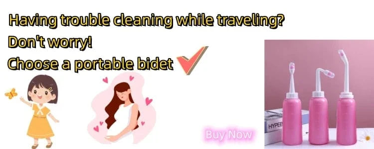 Robinet Douchette Bidet Inox Hygiène Simple et Élégante – Purelia